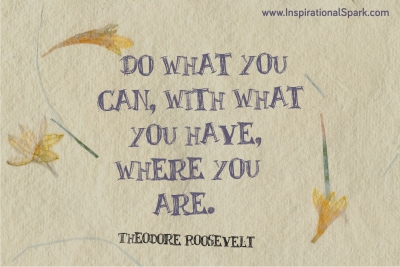 Do What You Can - Roosevelt